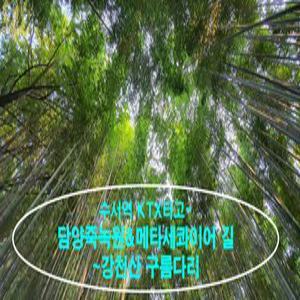 [KTX]담양죽녹원&메타세콰이어~강천산 구름다리(대전역 당일)