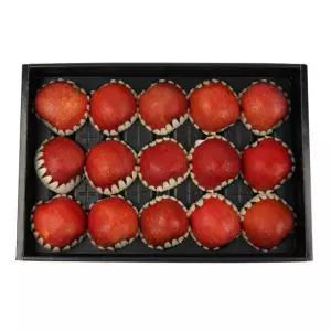 청송사과 세트 5kg (15입 이내) 코스트코