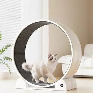 캣휠무소음 저소음 대형 켓휠 고양이쳇바퀴 강아지런닝머신