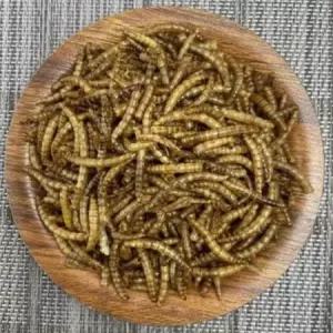 스텐장난감 열풍건조 밀웜 소동물/새/햄스터사료 20gx16개