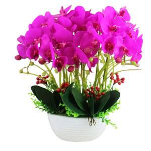 행운 호접란 서양란 조화화분 탁상용 난 꽃 개업