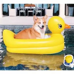 튜브 PE 펜션 계곡 물놀이 강아지 수영장 오리튜브 여행