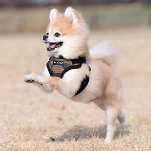 퍼피아 강아지 크로스 하네스 가슴줄