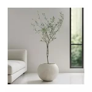 대형 올리브나무 달항아리 거실 개업화분 플랜테리어 인테리어식물 집들이 개업식화분