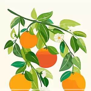 유화그림 하모니아트 취미용품 페인팅 세트 취미생활 DIY 명화 유화그리기 그림그리기 나무 오렌지 40x50