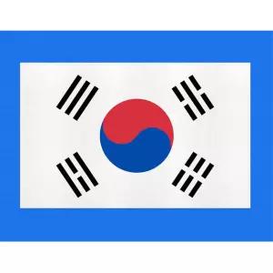 반짝이는 펄재질 태극기스티커 대형/2p 차량용앰블런 데칼