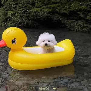 SHservice 오리배 페달 바다 보트 물놀이 튜브 오리