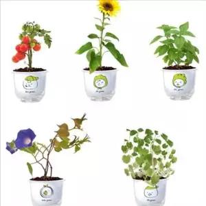 베란다 미니 화분 세트 가드닝 화분 재배 세트 초보 텃밭