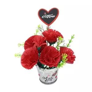 카네이션 화분 만들기1인용 4EA
