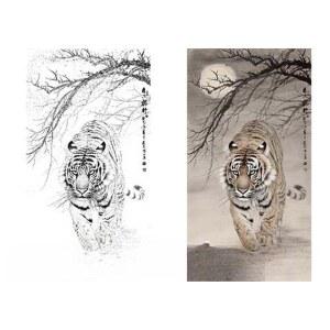 달 도안 민화본 밑그림 민화 정면 초안 호랑이 밤 컬러 그리기 A3 50 93cm