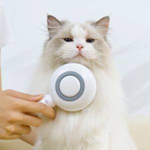 펫토리아 롤리팝 고양이 정전기 죽은털제거 목욕 빗 원터치 스팀 브러쉬