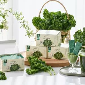 베네팜 유기농 곱슬케일 컬리케일분말 10박스(2g x 250포) + 전용보틀