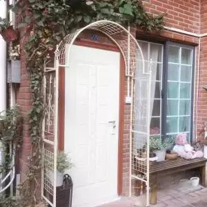 식물 지주대 키위 오위 박 포도나무 화초 포도 나무