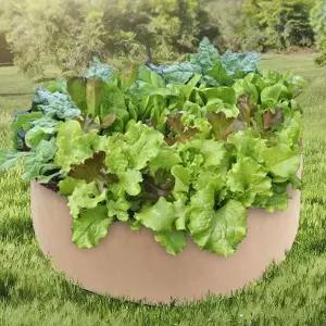 [셀러에이드]초록가든 베란다 텃밭 부직포 화분 실내재배화분