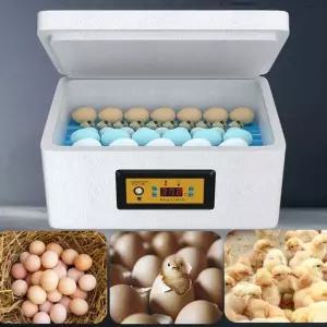 병아리 조류 대용량 얄리 번식 급수 자동 계란부화기 재료