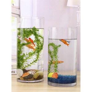 원형 원통 투명 두껍고 수족관 어항 수조 큰 유리 관상용