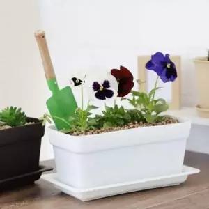 [골드스마일]직사각형 테라스 화분 원예용 베란다 화분 플라스틱 재배 텃밭 실내