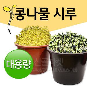 다라이 콩나물시루 새싹 재배기 플라스틱 화분 식당 업소용