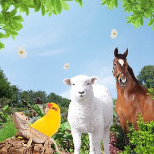 울산 동물의 정원!! (동물생태관 및 야외동물원)/울산동물원/파충류/아이랑가볼만한곳/경상/부산/실내