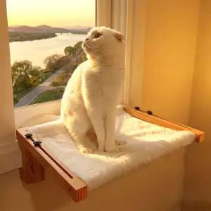 하루굿즈 고양이해먹 창문 창틀 해먹 고양이쇼파 소파 미니캣타워