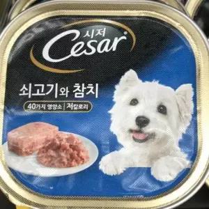 [반려] 시저 Cesar 쇠고기와 참치 애견 반려견 사료 100g