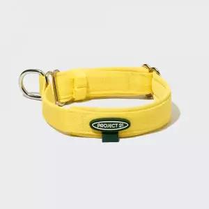 프로젝트21 강아지 목줄 산책 훈련용 소형견 대형견 마틴게일 목 쿠션 간편 착용 S