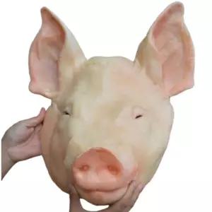 가짜돼지머리모형 고사 개업 전시 피규어 행사