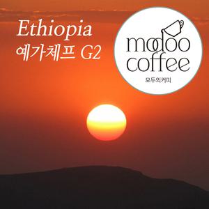 모두의커피 에티오피아 예가체프 G2 1kg 원두커피 홀빈(분쇄되지않은 로스팅원두)