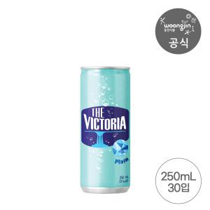 더빅토리아 탄산수 플레인 250ml 30캔