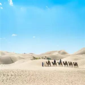 [출발확정][노쇼핑/내몽고직항] 오르도스 대초원+인컨타라 사막(사막 유리 호텔) 5일 승마/낙타/꼬마열차/모래썰매