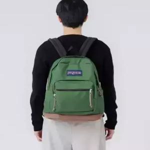 잔스포츠 jansport라이트팩 CARGO GREEN
