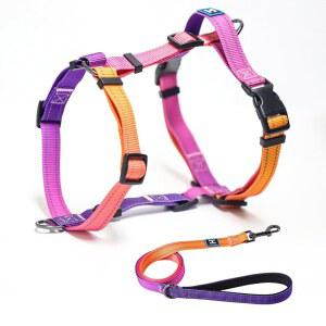 목줄이 달린 장미와 시 개 , 당김 조절 가능한 목줄 없음, 반사형 홀터 편안한 패딩 핸들, 중간 개를 위한 반려동물 보행 미스티로즈-M