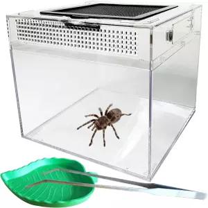 캐서린 파충류 먹이 상자 도마뱀 탱크 인클로저 에르미트 게 서식지 테라리움 트웬저 볼 포함 개구리 거미