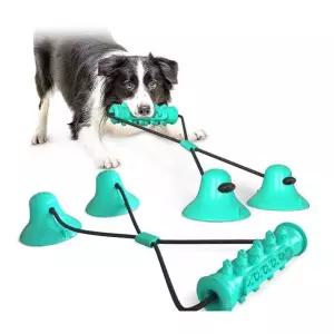 애견 튼튼한 민트 터그놀이 강아지장난감