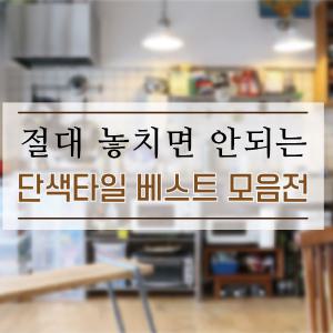 단색타일 모음 도기질 벽면사용 욕실 주방 현관 타일