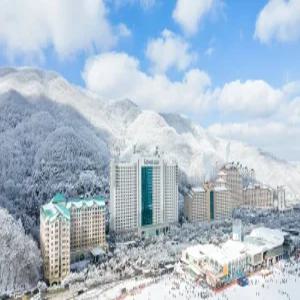 [강원 호텔] 소노벨 비발디파크 A (홍천,횡성)