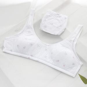 주니어속옷 1단계 주니어 스포츠 브라 팬티 세트 GSB-1511