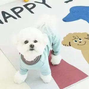 댕댕이 미끄럼 긁힘방지 놀이매트 U153586 강아지집 롤