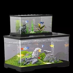 초대형 대형 달팽이키우기 세트 사육장 곤충 달팽이집