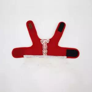 딩동펫 반려견 하네스 산책 외출 용품 프릴레이스 레드 XS