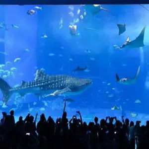 [나하] 오키나와 자유여행 3일 (하얏트 리젠시 나하 오키나와_트윈/조식불포함)