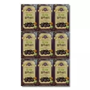 홀베리 통째로 갈아만든 유기농 블루베리 20g x 14포 9박스