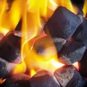 코코넛 숯 2kg 캠핑 바베큐 참숯 숯불용 야외 그릴 숯세트