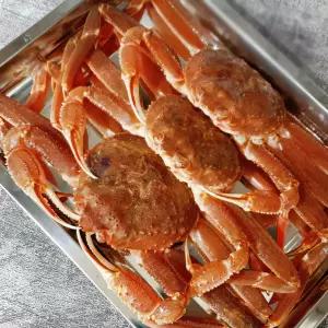 국내산 영덕대게 (중) 3마리 활어 대게