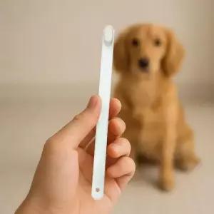 [반려] 반려동물 초미세 털 제거 칫솔 화이트 애완견 전용 만모 관리