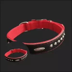 [반려] 강아지 목줄 30mm 66cm 빨강 강아지산책줄 애견이름표목걸이 애견목줄중형견