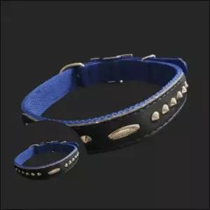 [반려] 강아지 목줄 25mm 60cm 파랑 애견이름표목걸이 강아지산책용품 강아지산책줄