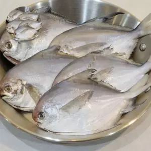 (놀꿈)병어 손질 10마리 냉동 생선 병어 손질 흰살