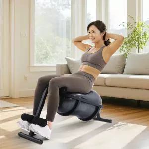 이고진 바운스핏 싯업 복근 운동 윗몸일으키기 기구 땅콩 짐볼