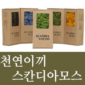 소울라인 천연이끼 스칸디아모스 500g 공기정화 흡음